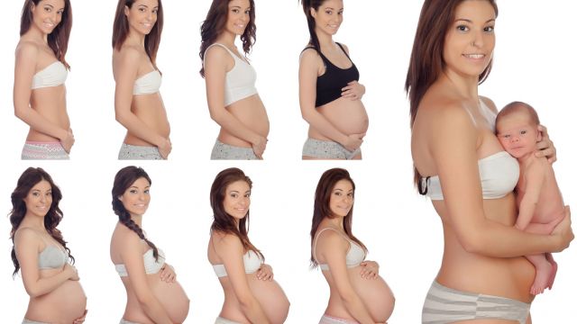 Les changements physiologiques de la grossesse