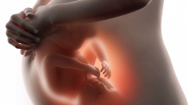 Quand bébé ne bouge plus