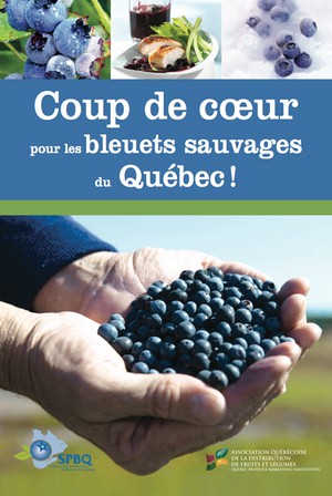 Coup de coeur pour les bleuets sauvages du Québec