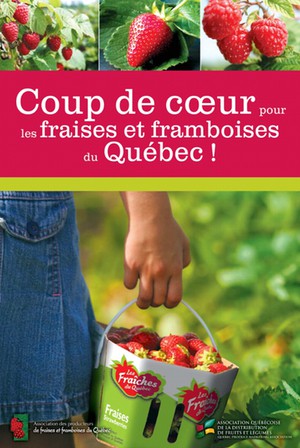 Coup de coeur pour les fraises et framboises du Québec