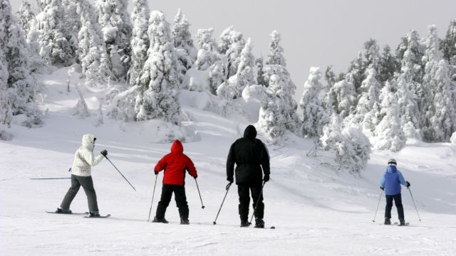 Ski de fond raquette clearance