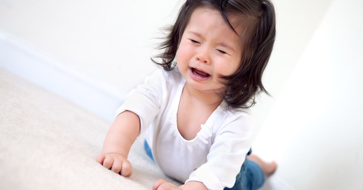 L'ABC de la gestion de crise de votre enfant Enfant