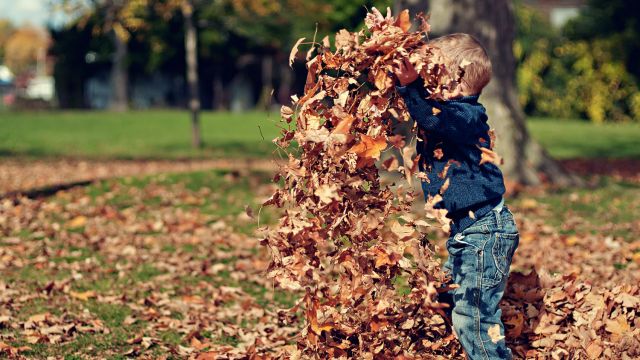 RÃ©sultat de recherche d'images pour "photos d'automne gratuites"