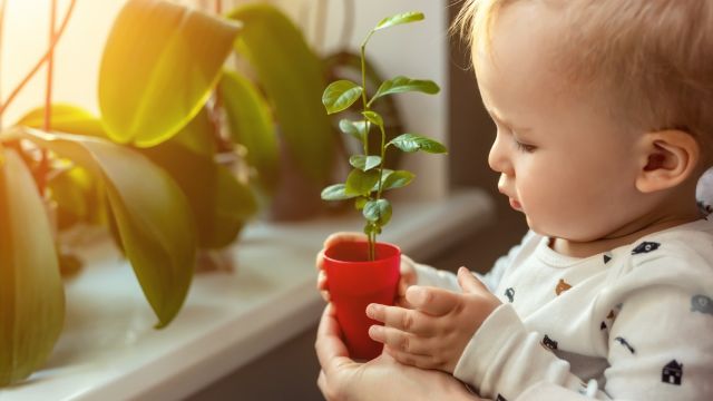 Un Bebe Ecolo C Est Plus Que Les Couches Lavables Mamanpourlavie Com