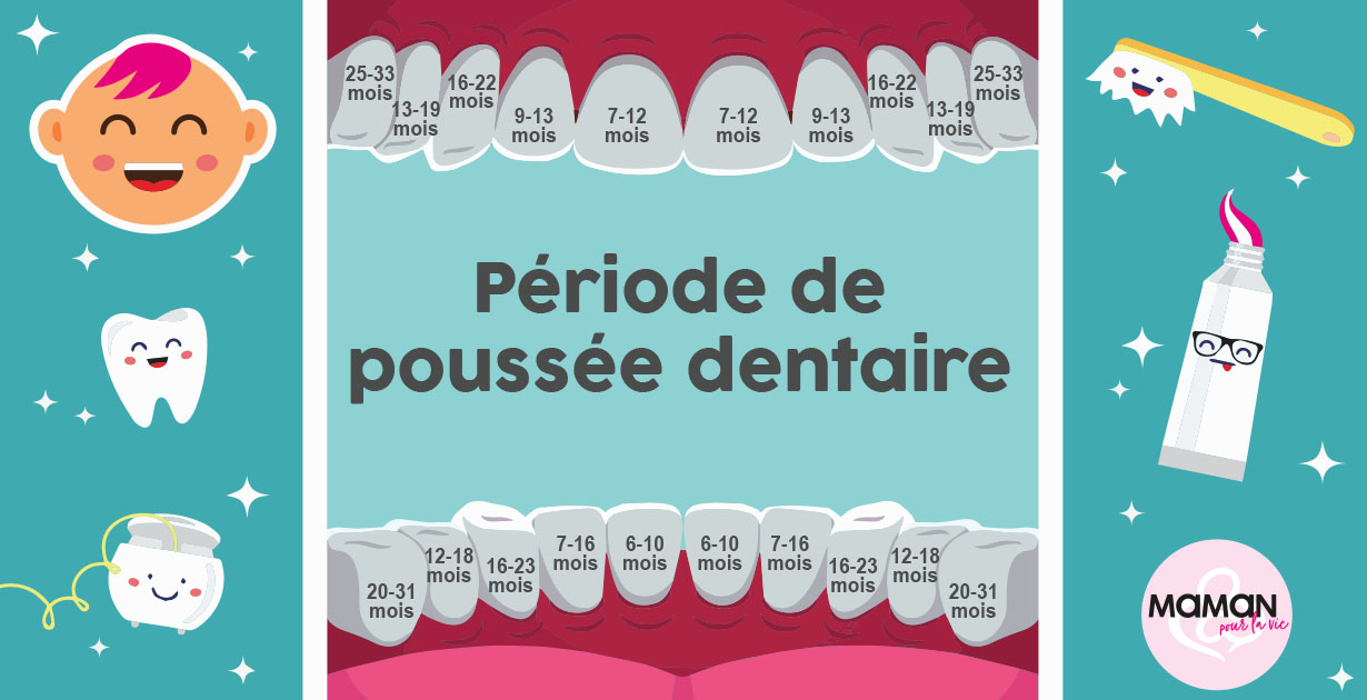 La Poussee Dentaire Des Bebes Mamanpourlavie Com